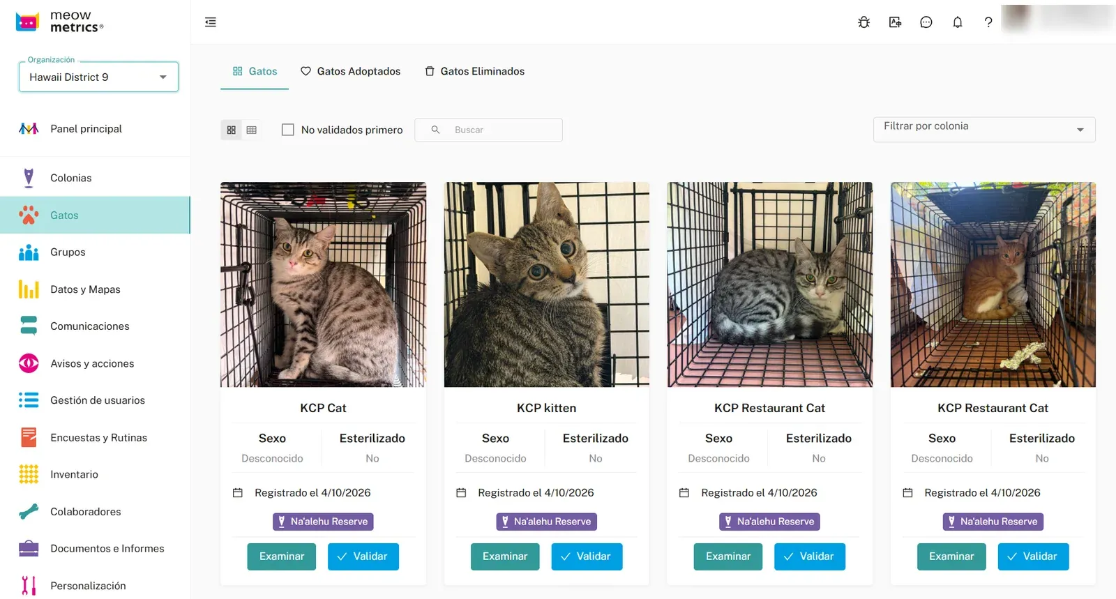 Listado de gatos de una organización en Meow Metrics, con menú de módulos y botones para examinar y validar cada registro