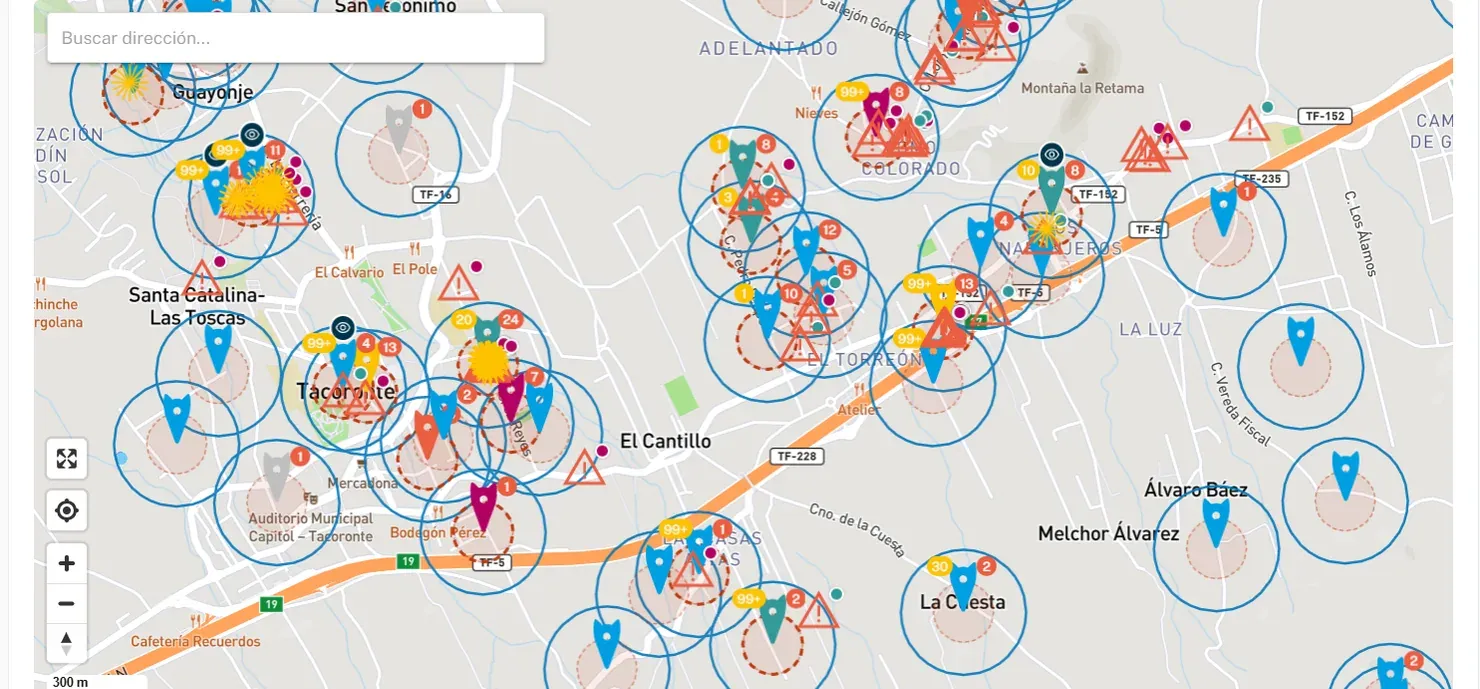 Meow Metrics interactive map showing the colonies, cats and alerts of Tacoronte geolocated on the street map