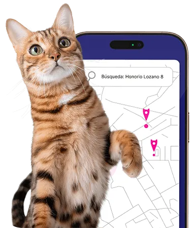 App colonias felinas para la gestión municipal de colonias de gatos mediante CER