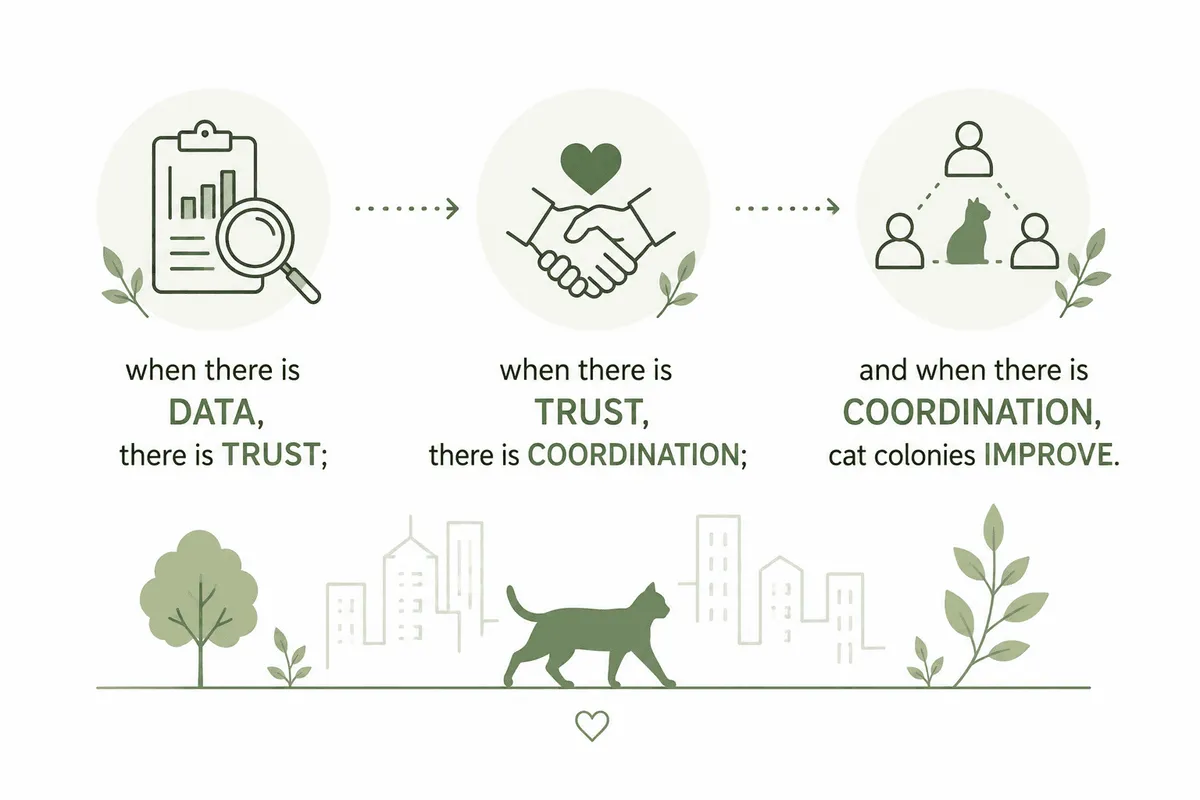 How Meow Metrics Helps Municipalities Improve Transparency and Comply with Law 7/2023